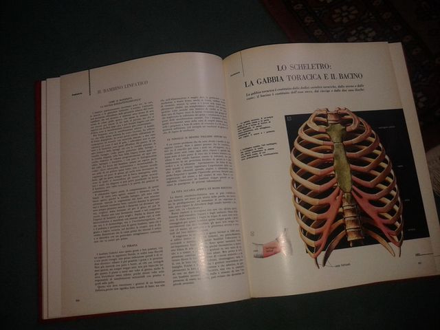 10volumi"GUIDA MEDICA"+volume aggiuntivo