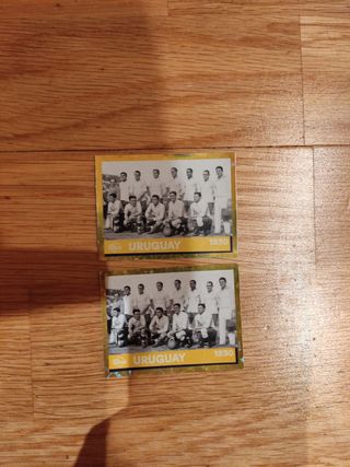 cromos mundial Qatar panini