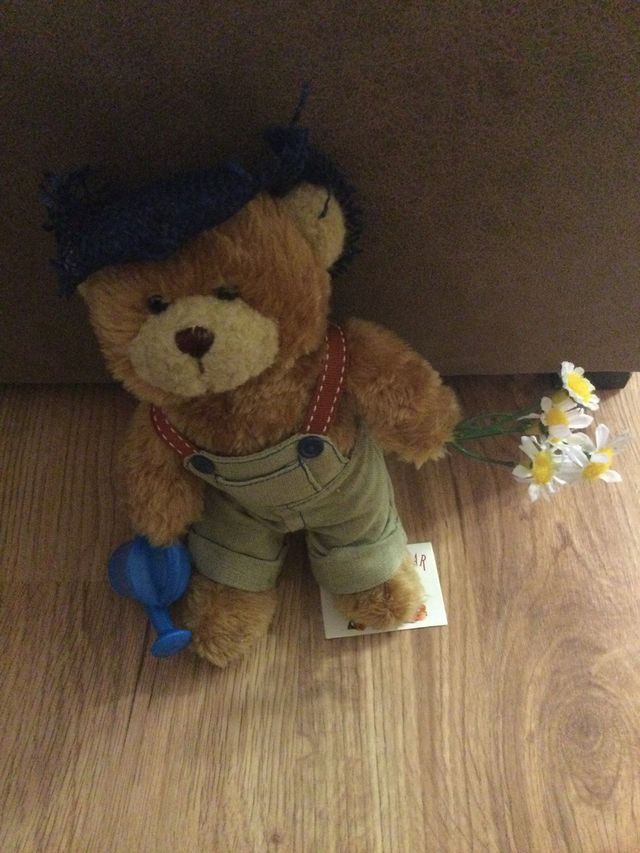 Ositos de la colección "Teddy Bear collection"