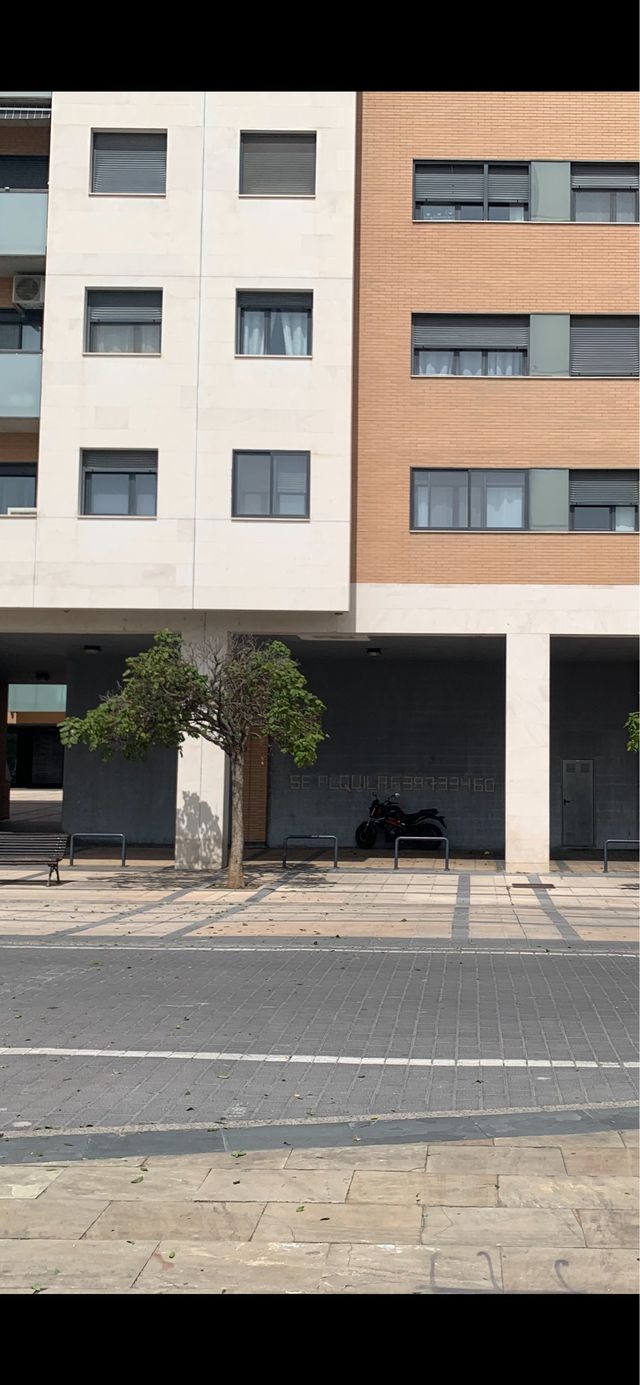 Local/Oficina en alquiler