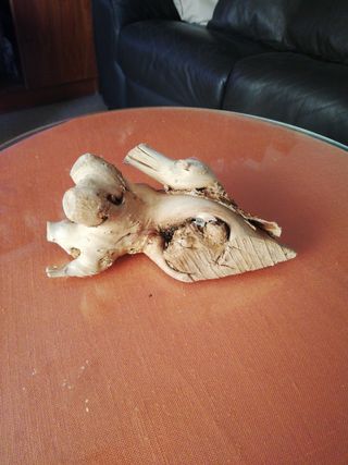 tronco especial pecera