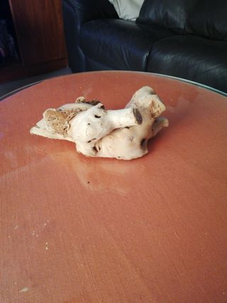 tronco especial pecera