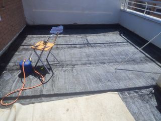 paleta oficial de 1er