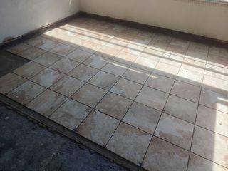 paleta oficial de 1er