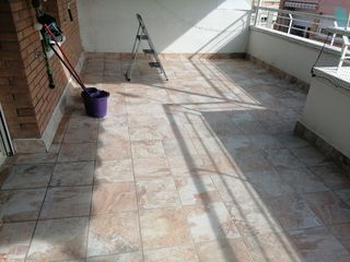 paleta oficial de 1er