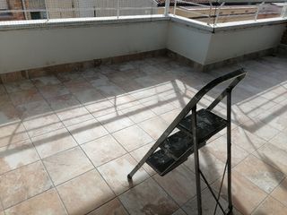 paleta oficial de 1er