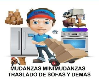 mudanzas y minimudanzas