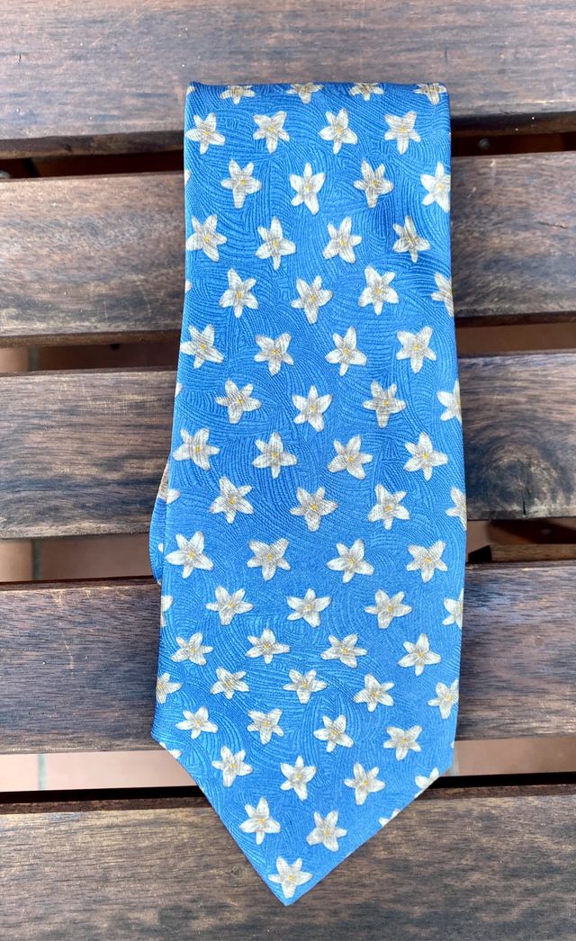 Corbata 100% seda natural - Canova's Club