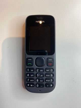 Nokia 100