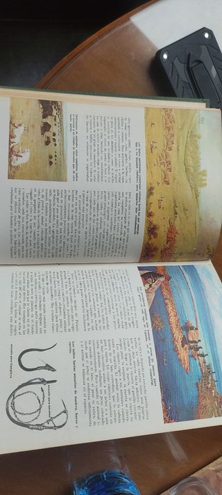 Ciencias Naturales Bruguera 🧪