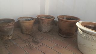 MACETAS O TIESTOS DE BARRO