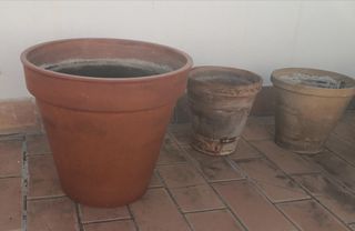 MACETAS O TIESTOS DE BARRO