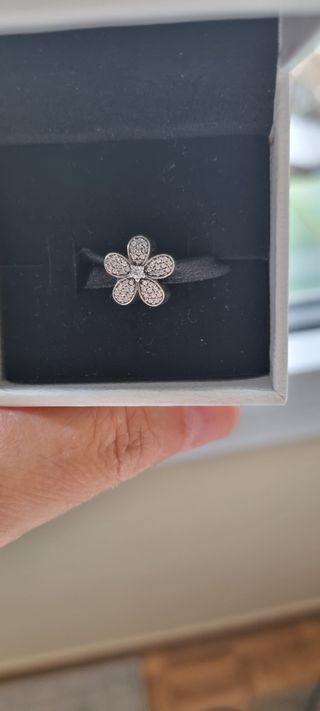 Charm Pandora 