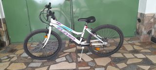 Bicicleta unisex