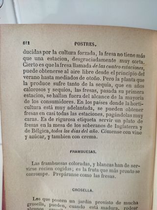 El cocinero europeo.