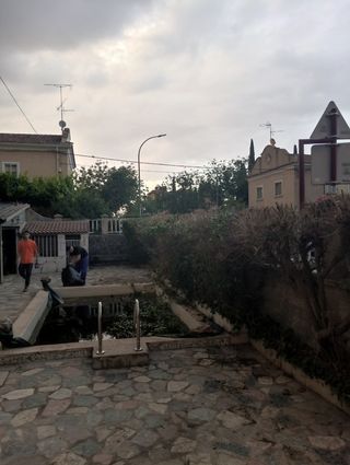 jardinero español económico