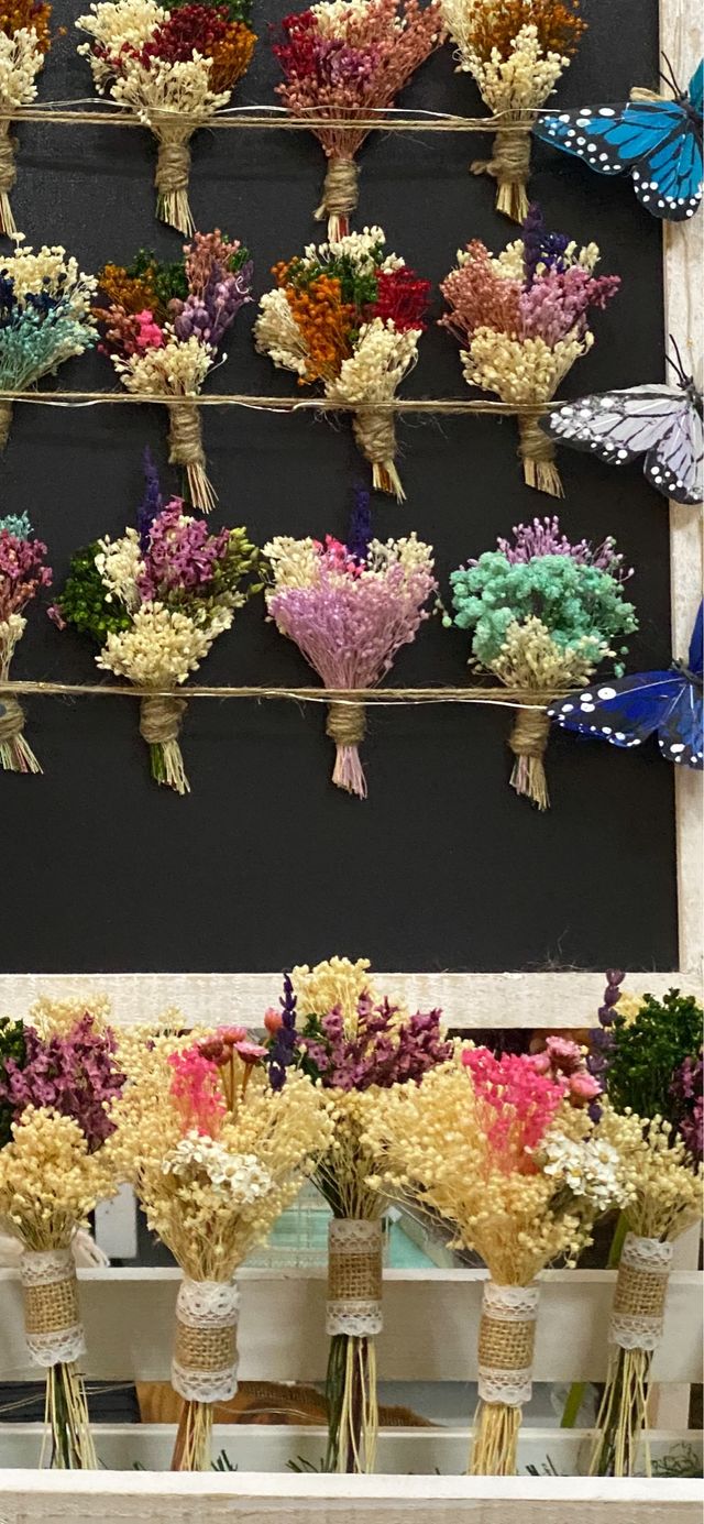 Ramilletes de flores naturales secas y preservada