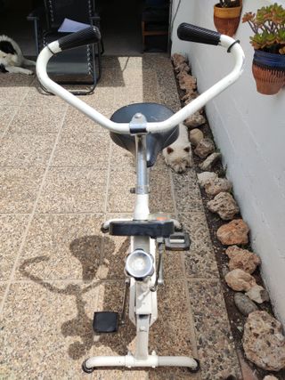 Bicicleta estàtica bh antigua