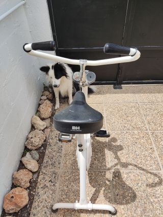 Bicicleta estàtica bh antigua