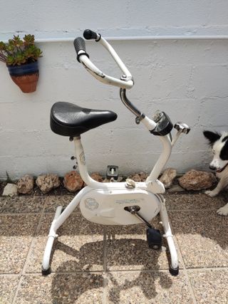 Bicicleta estàtica bh antigua