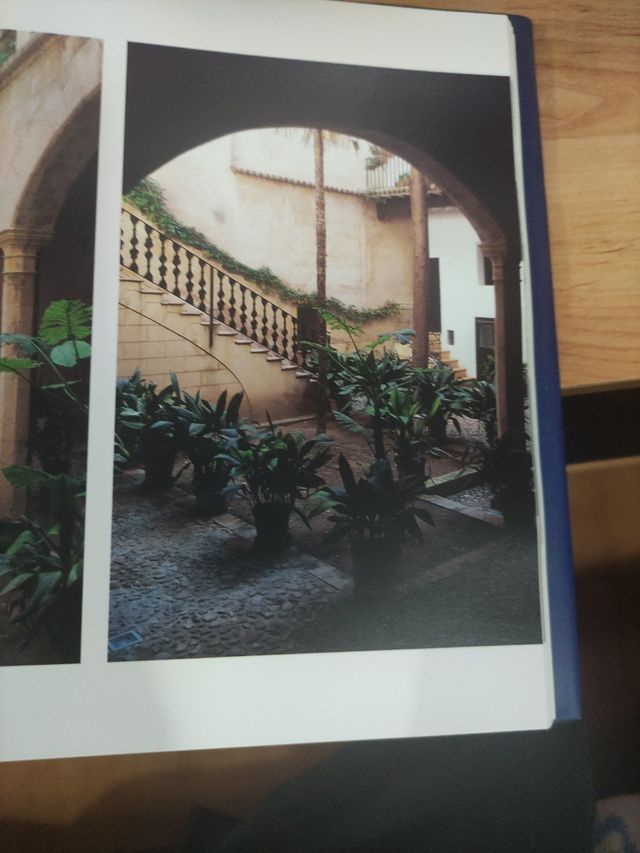 Patios de Palma Volumen I