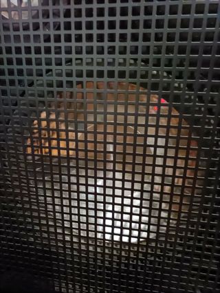 Altavoces  Profesionales
