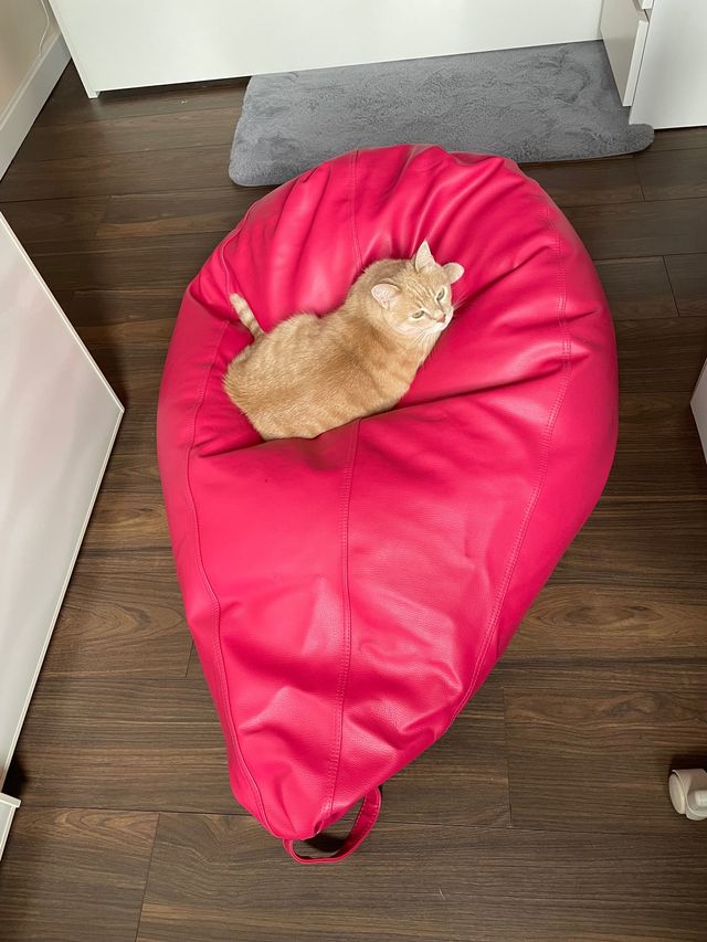 Sillón Pub pera rosa