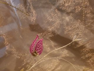 Tende e tendaggi firmati