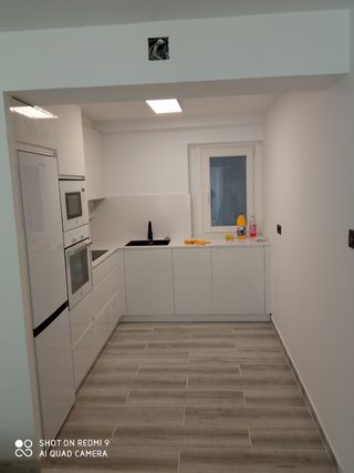 Tarima flotante y Pintura