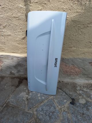Plásticos exteriores Smart Fortwo 451.