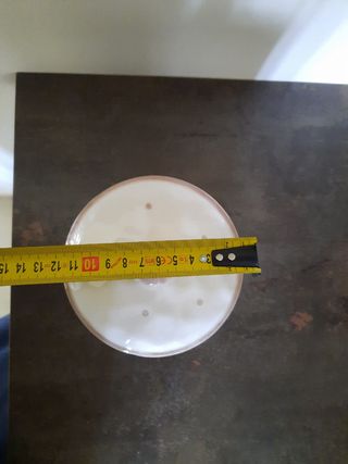 Biscottiera. Contenitore in ceramica.