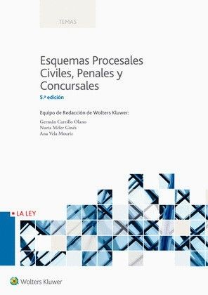 Esquemas procesales, civiles, penales, concursales