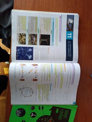 Libro y cuadernillo de Biología y Geología 1⁰ bac