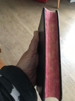 Camino Recto y Seguro para llegar al Cielo