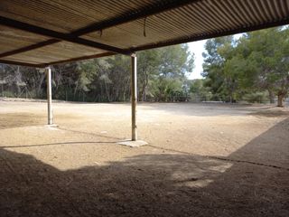 Paddock Semilibertad