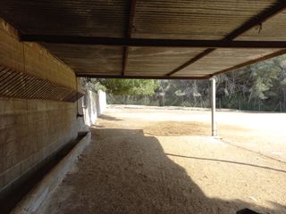 Paddock Semilibertad