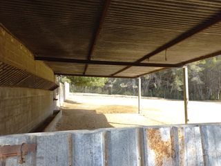 Paddock Semilibertad
