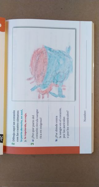 La Cueva del Corazón - ANAYA