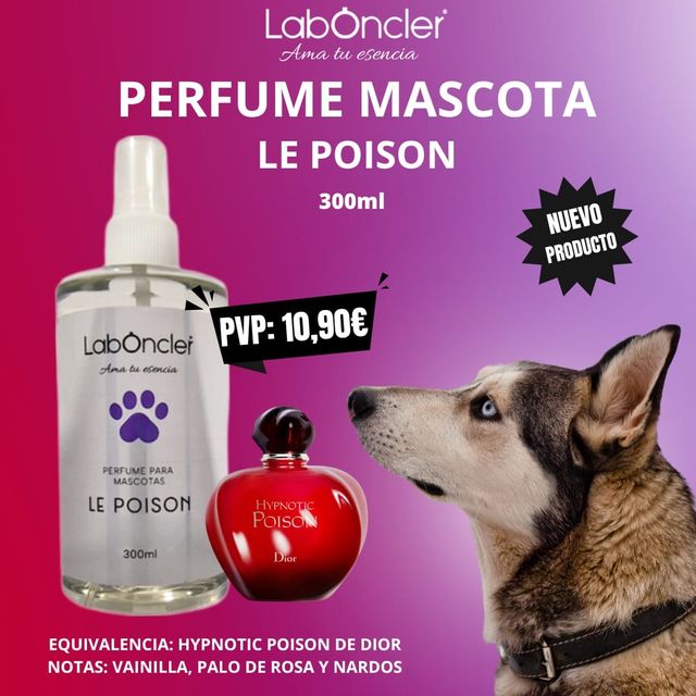 PERFUME PERROS Y GATOS