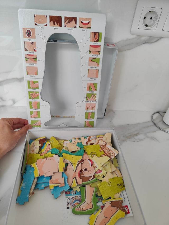puzzle cuerpo humano