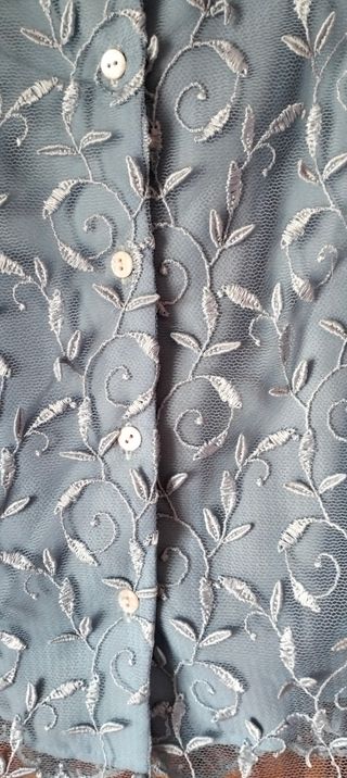 BLUSA PRECIOSA BORDADA en el TUL y con forro