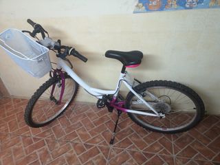 Bicicleta de Paseo