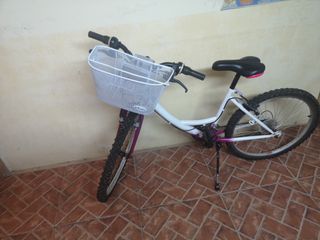 Bicicleta de Paseo
