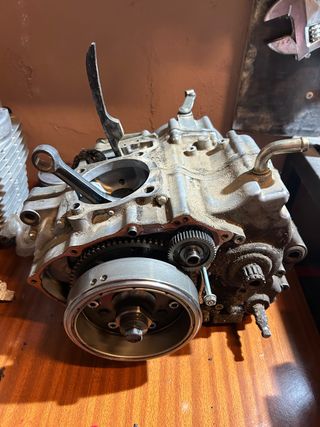 Despiece motor honda trx 400 2005