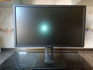 Monitor Dell