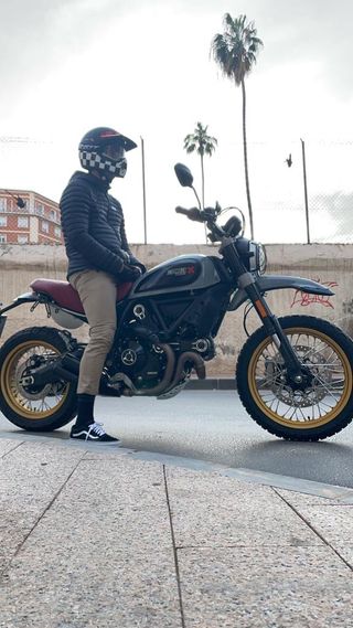 Ducati Scrambler 800 Desert Sled