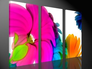 Quadros -Impressões em tela