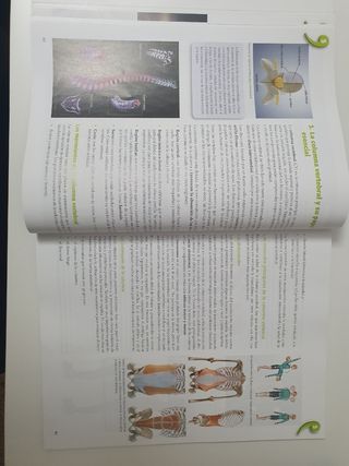 Educación Física 1° Bachillerato