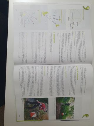 Educación Física 1° Bachillerato