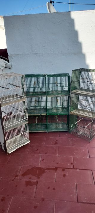 jaula pájaros lote no se hace envios